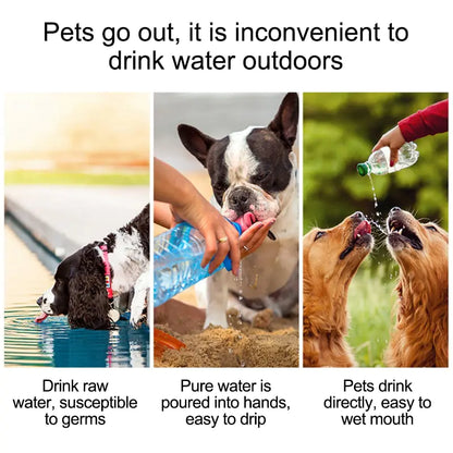 Pet Travel Water Bottle | Hydration On-the-Go